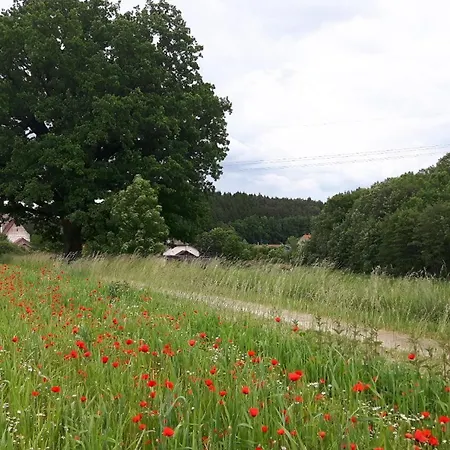 Spieglhof 3*
